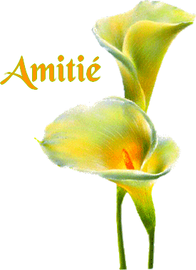 l'amiti�